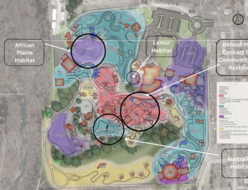 City Commission approves agreements to start design of Sunset Zoo’s African Plains project