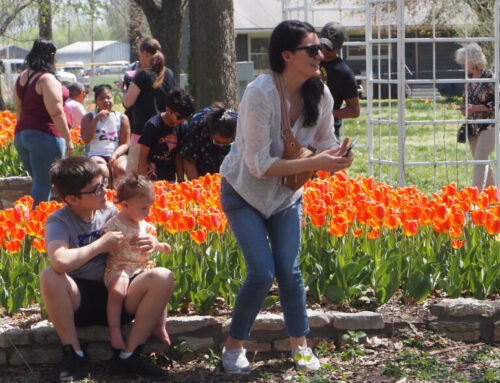 Annual Tulip Festival highlights busy weekend in Wamego