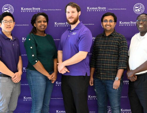 K-State researcher lands $2.6 million for African Swine Fever research