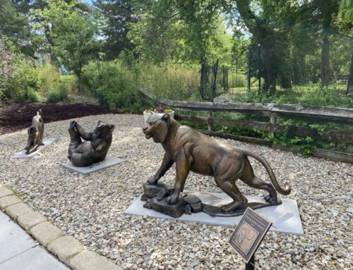 Sunset Zoo dedicates new sculptures to commemorate local philanthropists