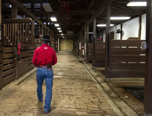 Fort Riley’s Mounted Color Guard set to make history