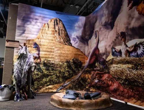 Flint Hills Discovery Center is going back in time with ‘Tiny Titans’ exhibit