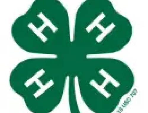 4-H ambassadors excited for Pottawatomie County Fair