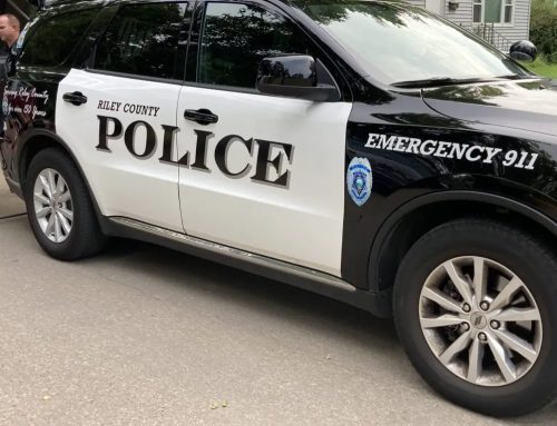 Manhattan woman arrested on battery, theft charges