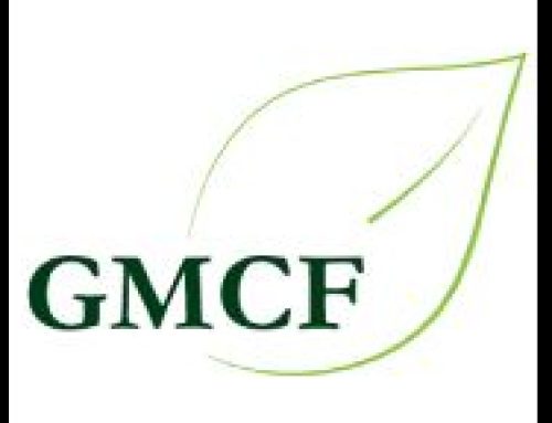 Foundation awards recognize service and leadership across Manhattan