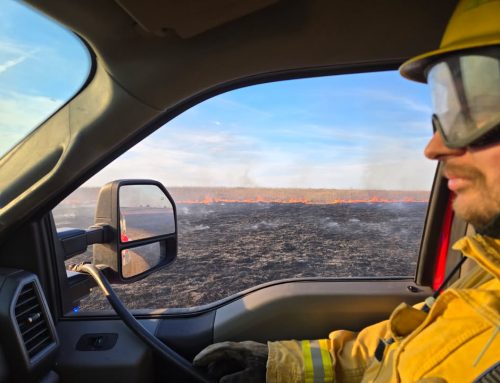 Firefighters battle several grass fires amid record heat