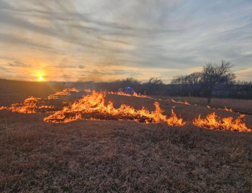 Prescribed burn south of Zeandale scorches estimated 400 acres