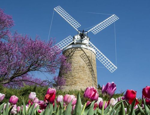 Wamego Tulip Festival returns bigger than ever