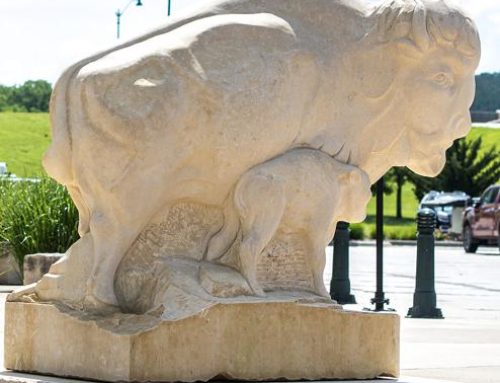 Flint Hills Discovery Center unveils bison sculpture