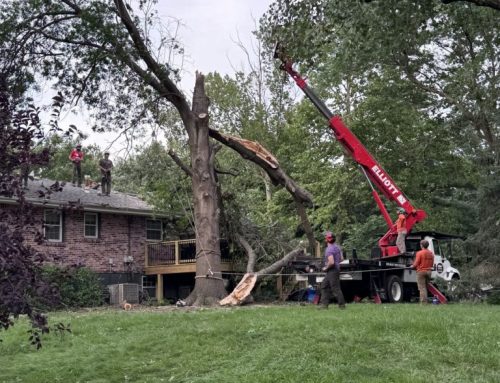 Catholic charity offers disaster relief to Kansas storm victims