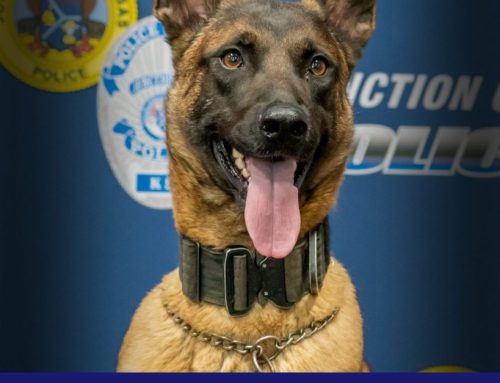 Junction City police investigating on-duty death of K-9 Vethos