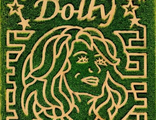 A&H Farm among 20 nationwide hosting Dolly Parton memorial corn maze campaign